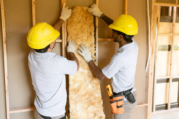 Best Home Insulation Services  in Fairport, NY