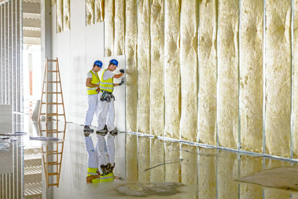 Best Attic Insulation Installation  in Fairport, NY